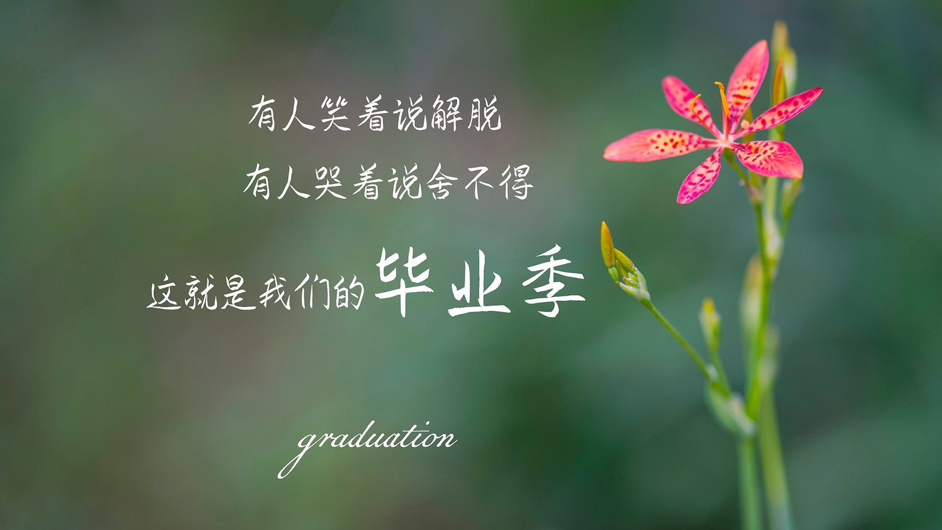 九游官网-2010年季后赛：雷霆以年轻的阵容奋战，韦斯布鲁克多次“黑马”表现惊艳全场。