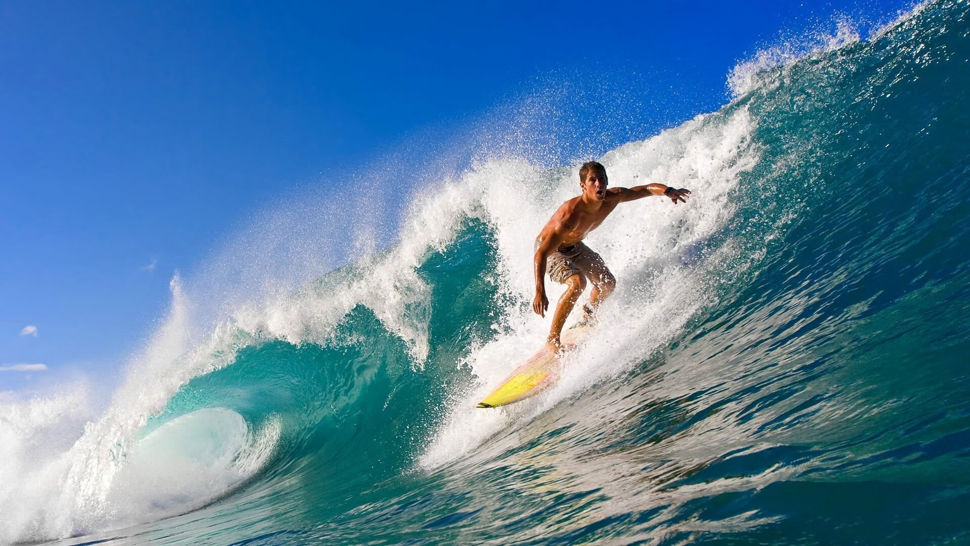 “南非羚羊队的胜利背后:萨尔·巴赫的努力与坚持”